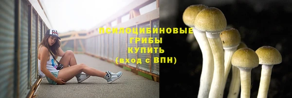 apvp Верхний Тагил