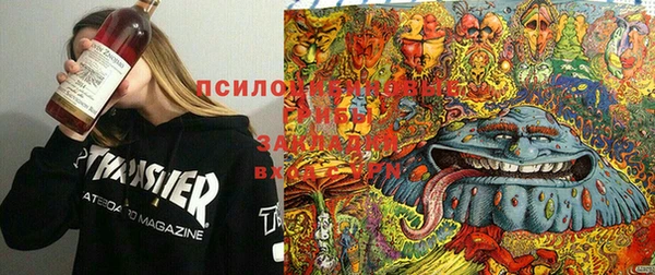 каннабис Верея