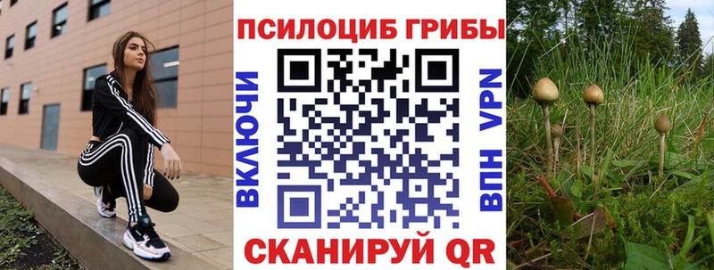 Галлюциногенные грибы мухоморы  где продают наркотики  Архангельск 